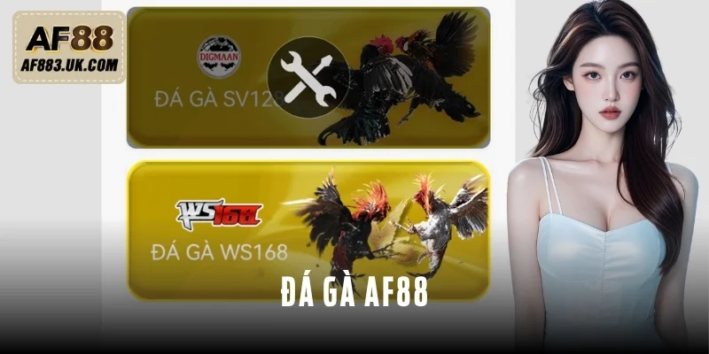 Đá Gà AF88 Và 3 Loại Hình Hấp Dẫn Không Thể Bỏ Qua