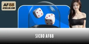 Sicbo AF88 | Hướng Dẫn Cho Newbie Nắm Luật Chỉ Vài Phút