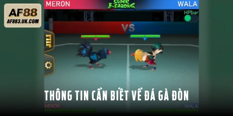 Tổng hợp thông tin cần biết về đá gà đòn